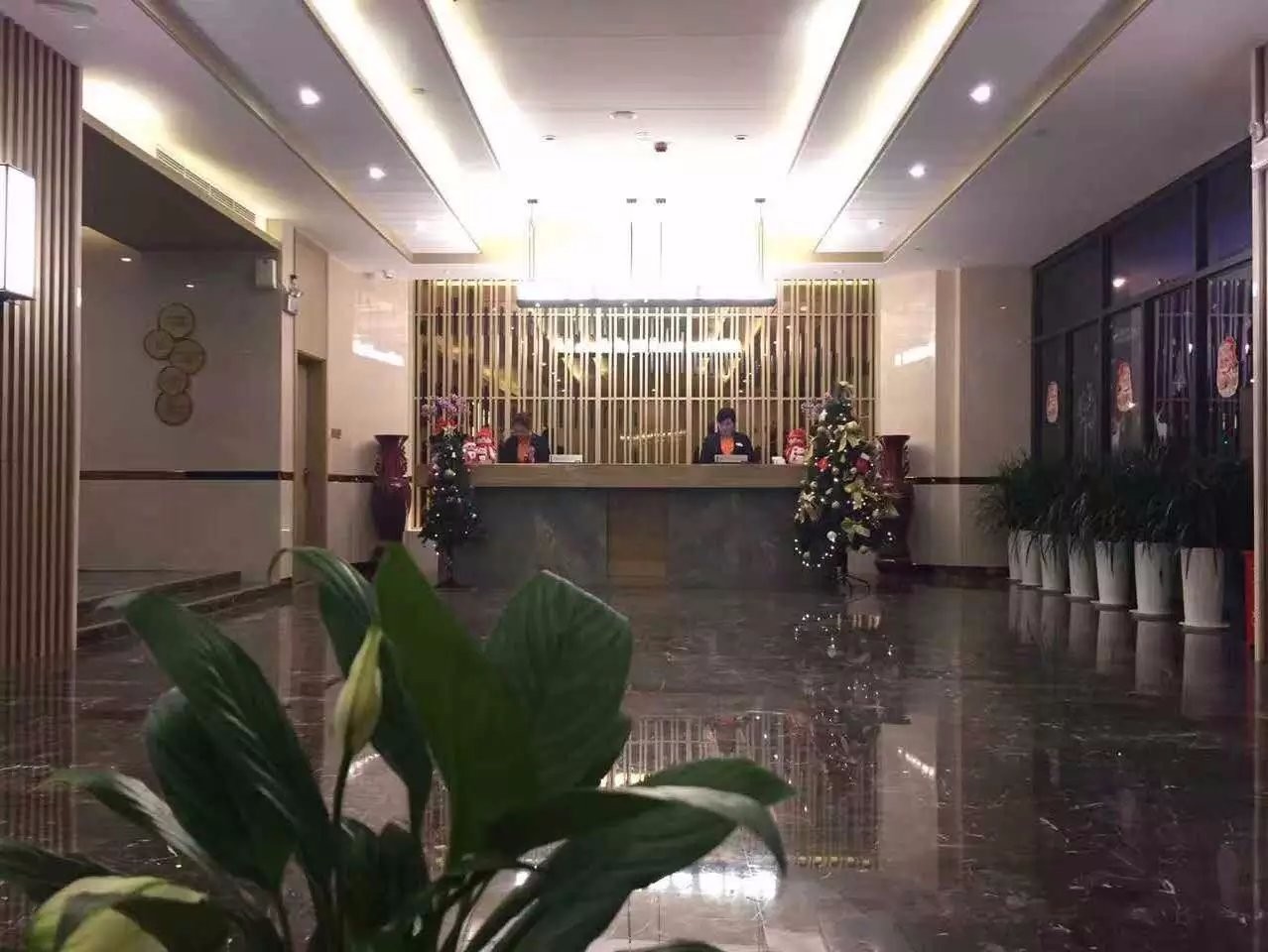 郑东新区星级酒店中央空调项目